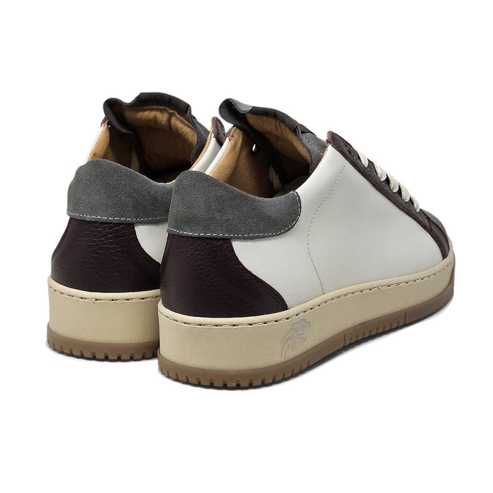 Paul ambra — Sneaker in pelle