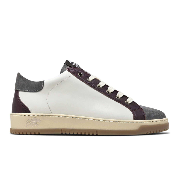 Paul ambra — Sneaker in pelle