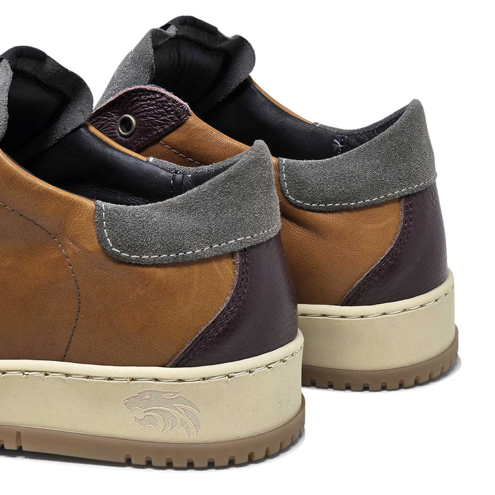 Paul ambra — Sneaker in pelle