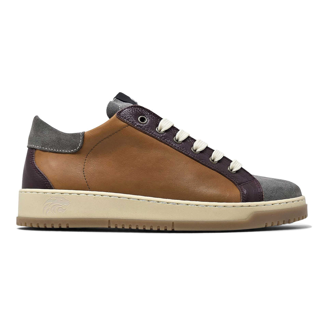 Paul ambra — Sneaker in pelle