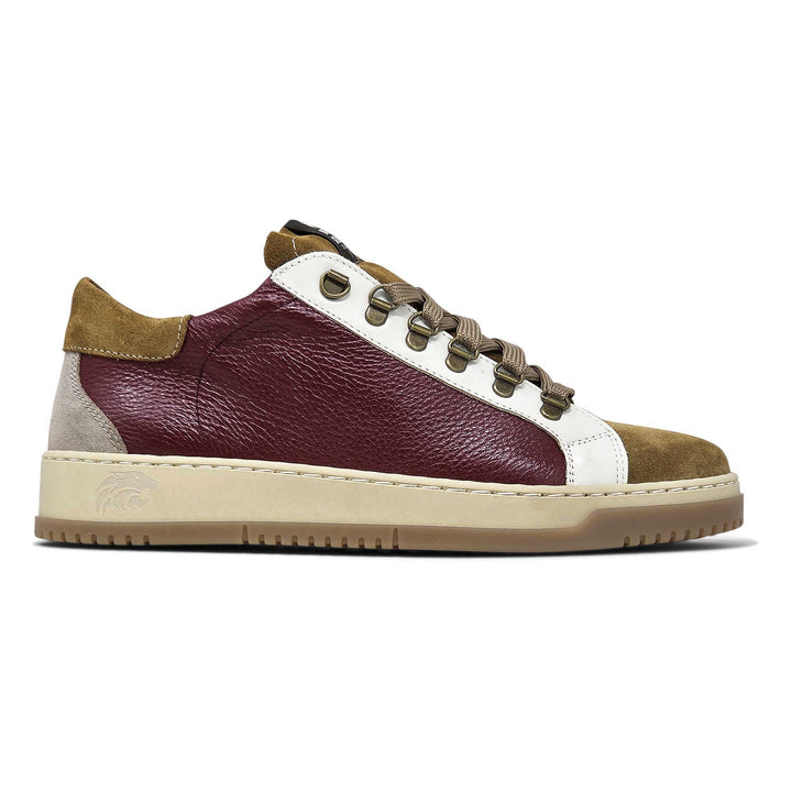 Paul star — Sneaker in pelle