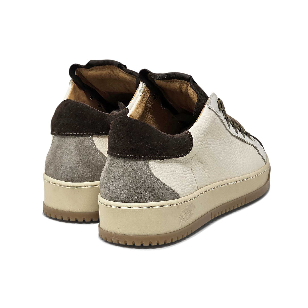 Paul star — Sneaker in pelle