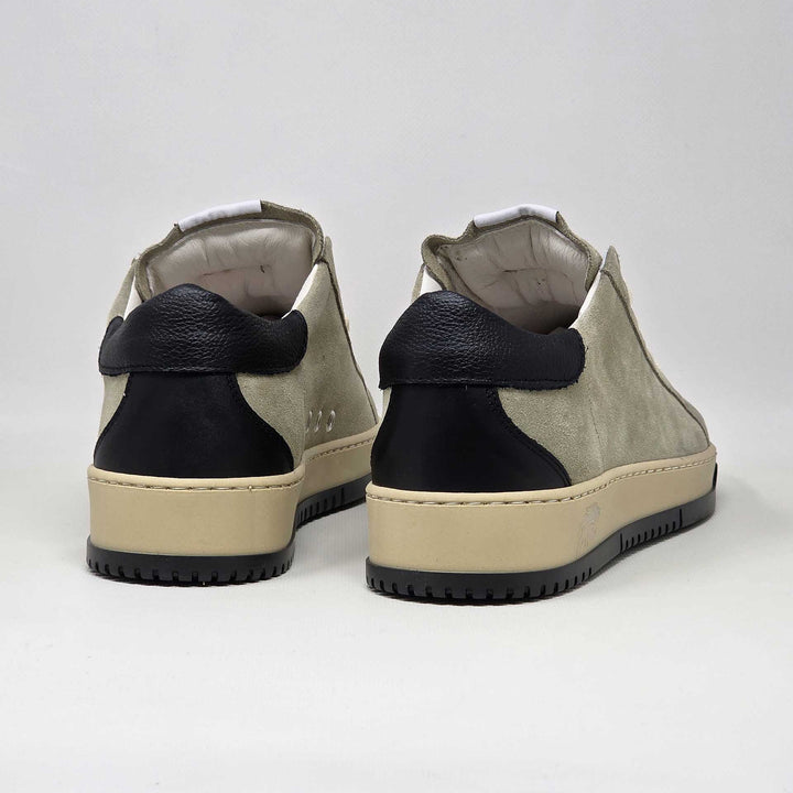 PAUL STAR CAMOSCIO BEIGE PELLE NERO