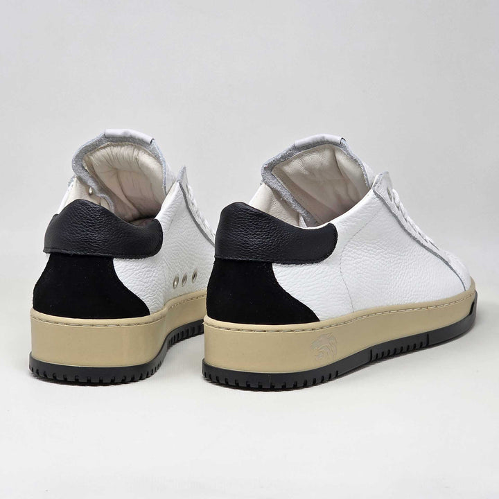 PAUL STAR PELLE BIANCO NERA