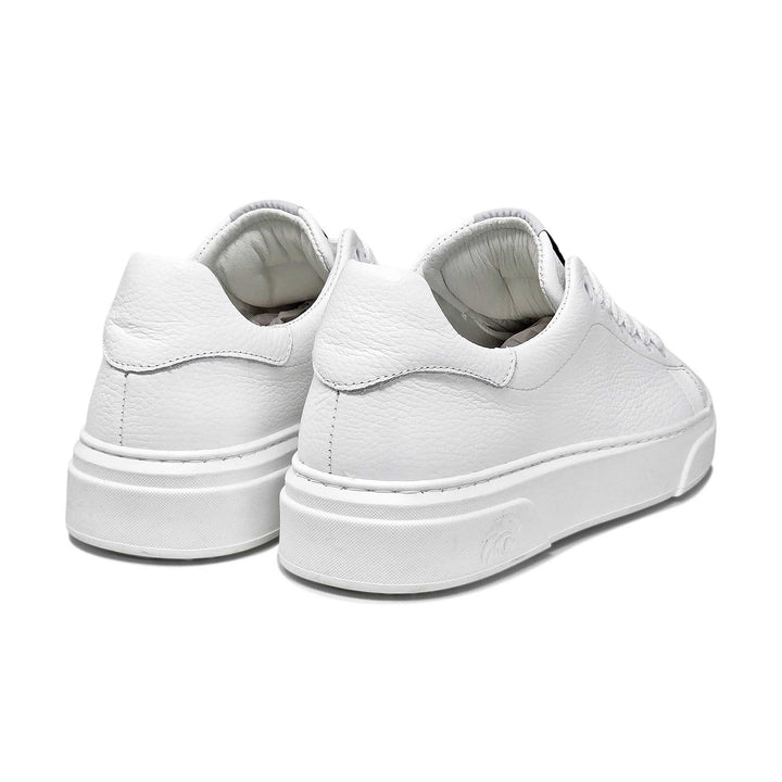 Torino — Sneaker in pelle