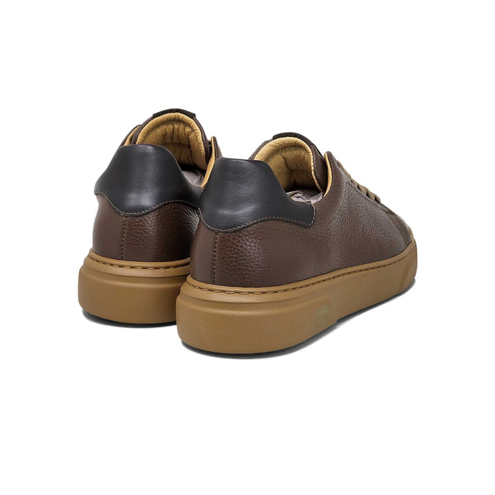 Torino ambra — Sneaker in pelle