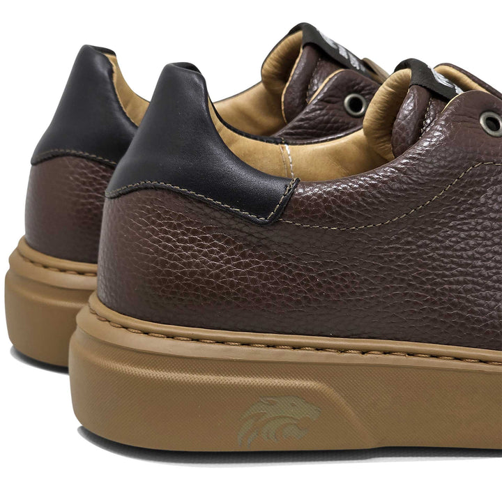 Torino ambra — Sneaker in pelle
