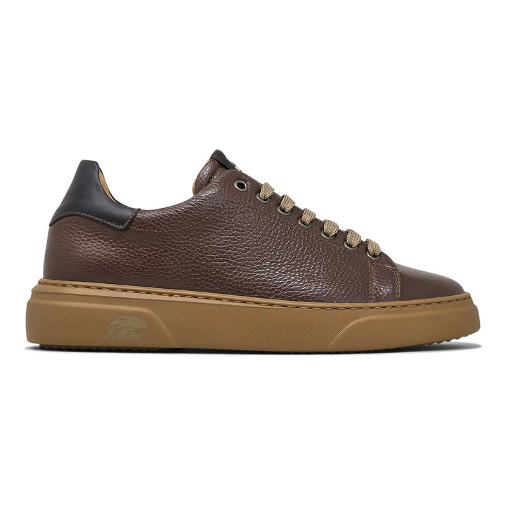 Torino ambra — Sneaker in pelle