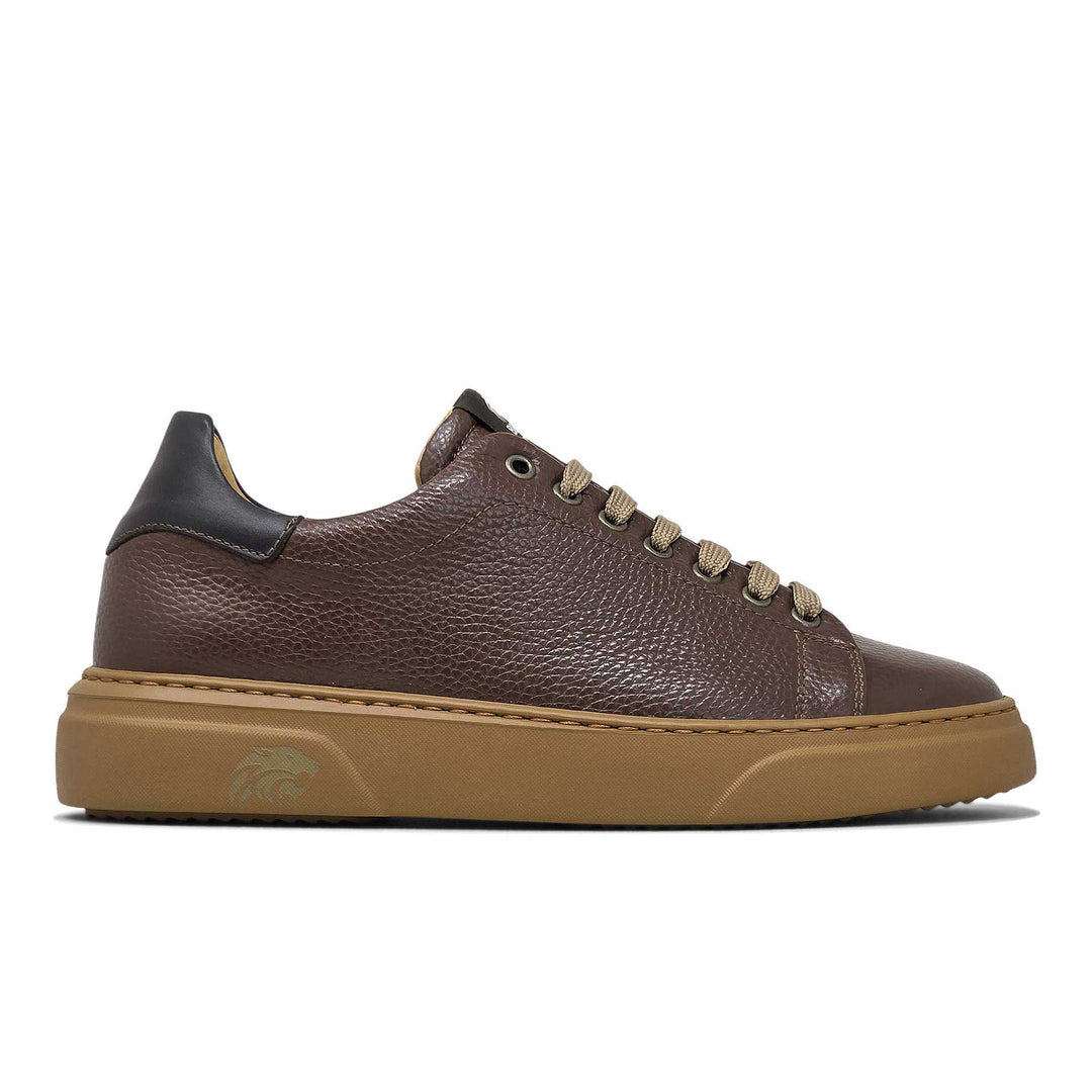 Torino ambra — Sneaker in pelle