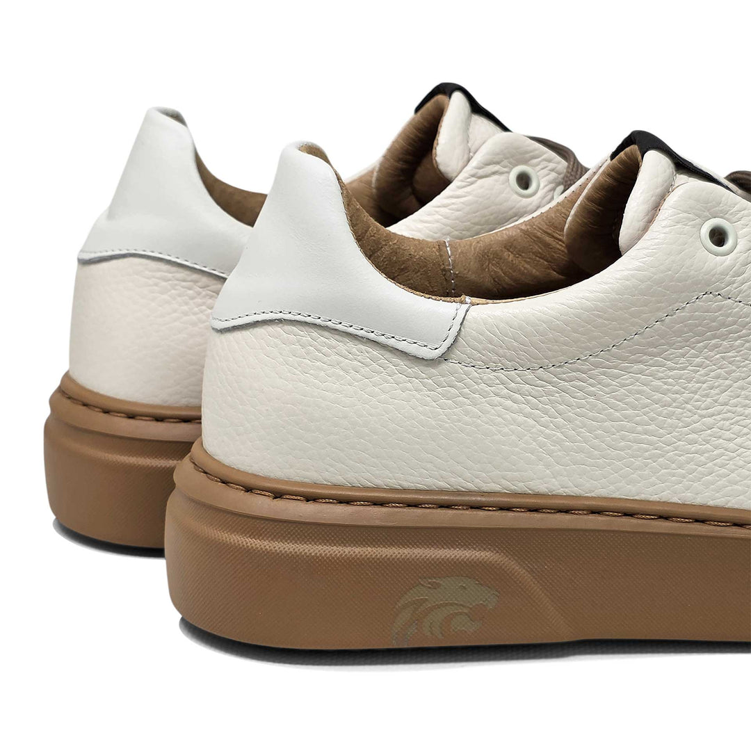 Torino ambra — Sneaker in pelle