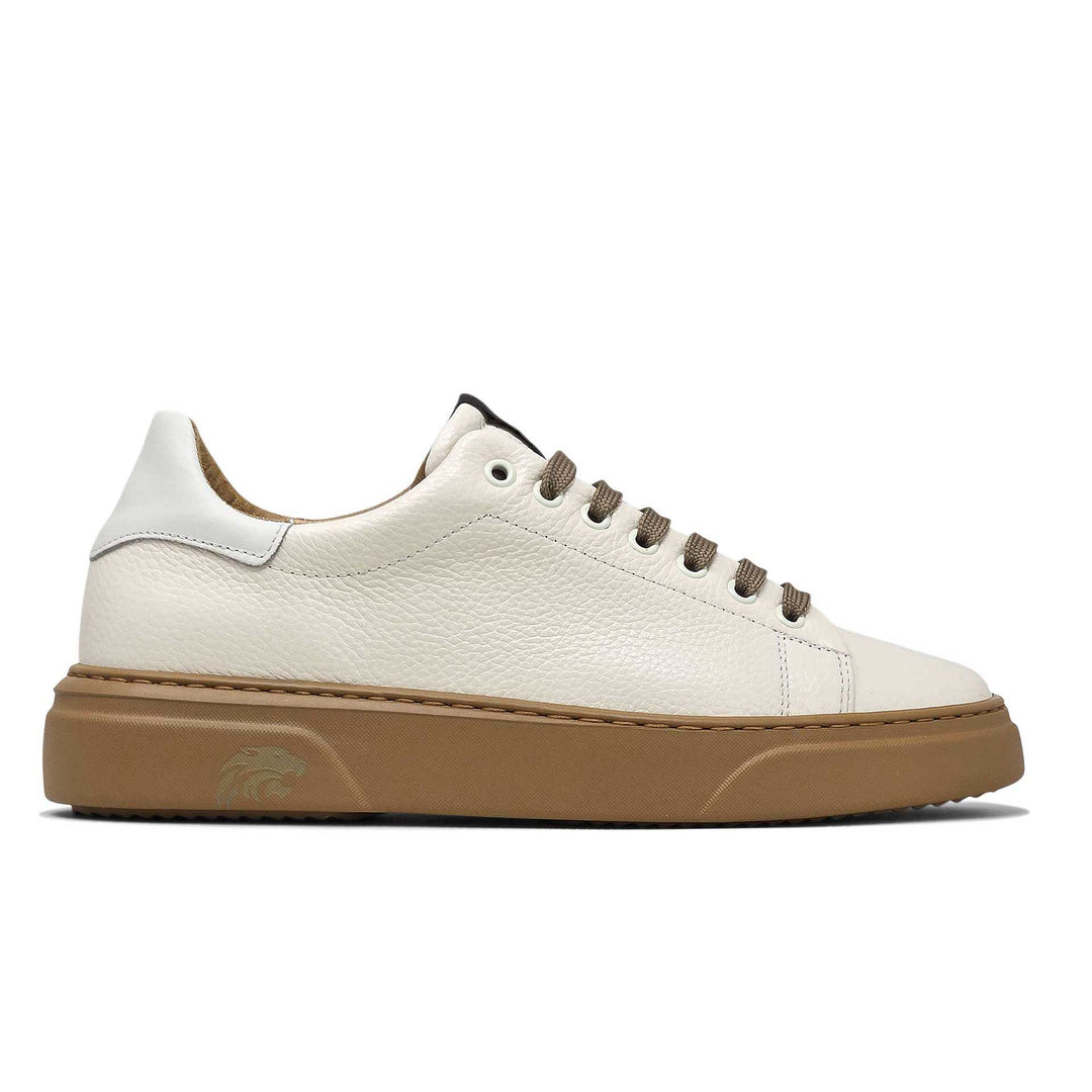 Torino ambra — Sneaker in pelle