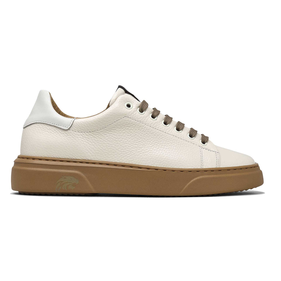 Torino ambra — Sneaker in pelle